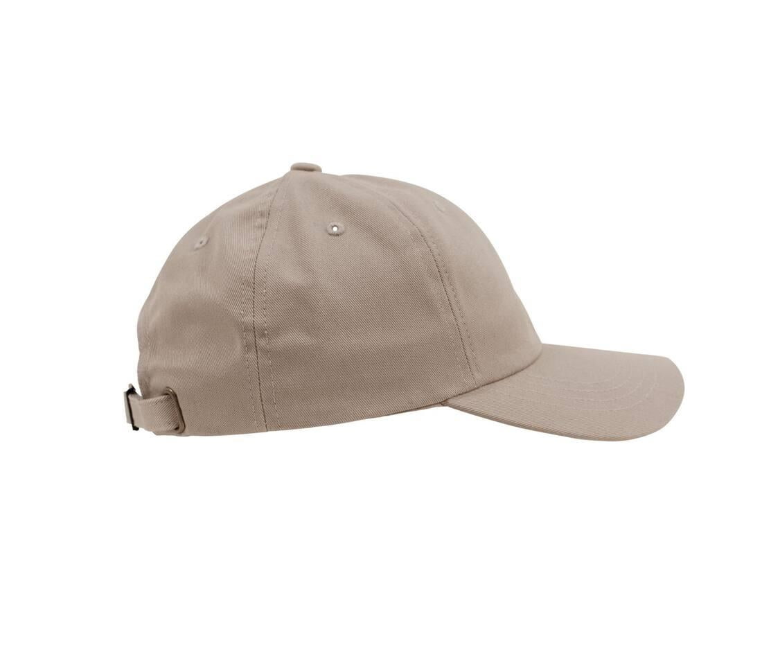 Flexfit Classics® Dad Cap