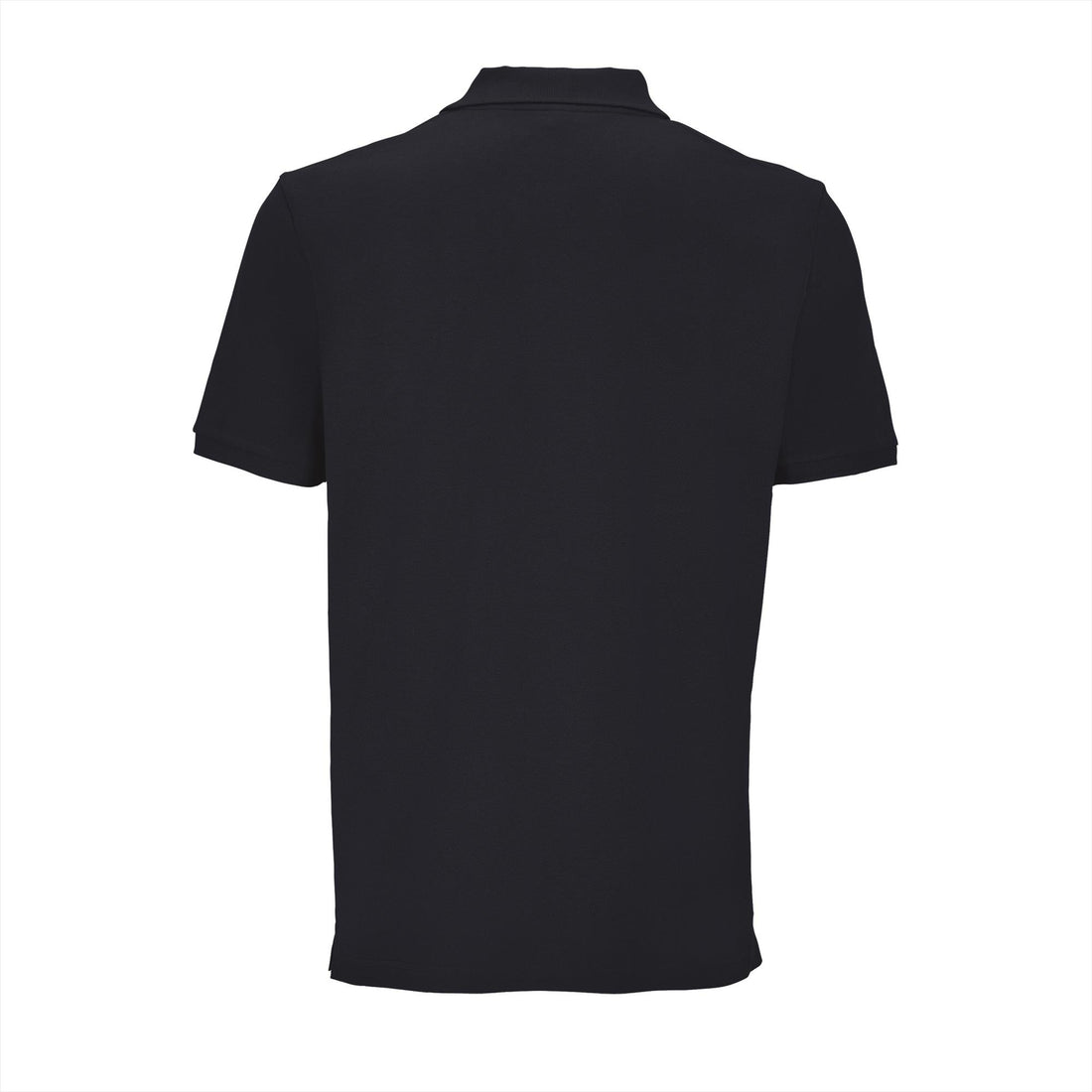 Sol's Pegase