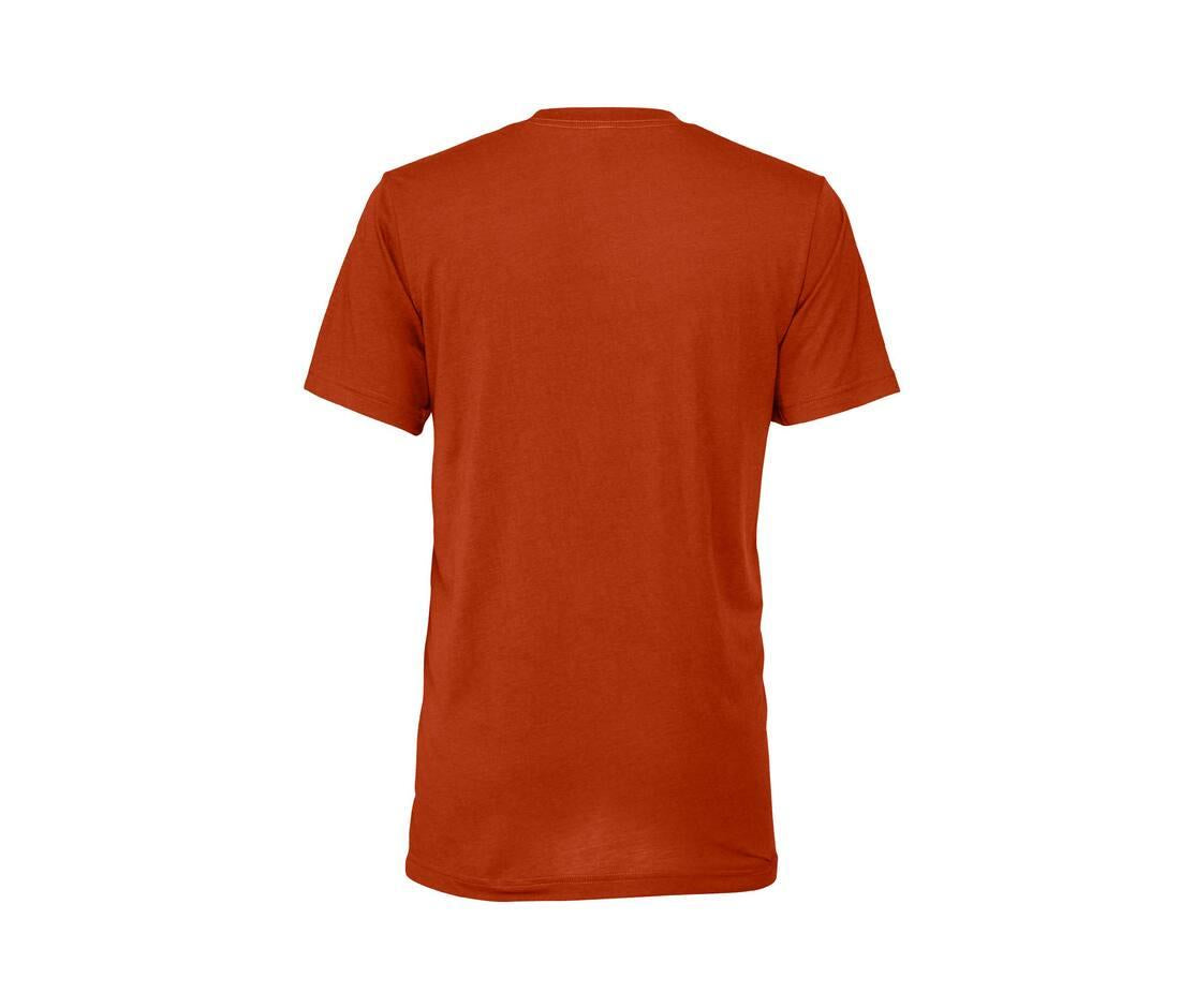 Bella + Canvas Unisex Triblend S/s T-shirt