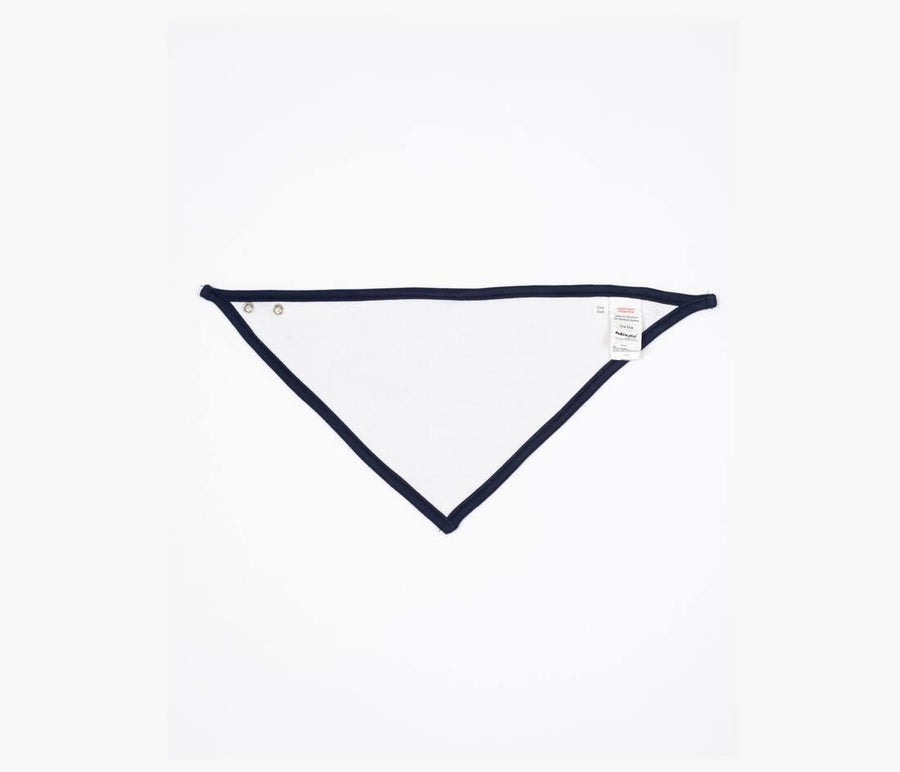 Bandana Bib