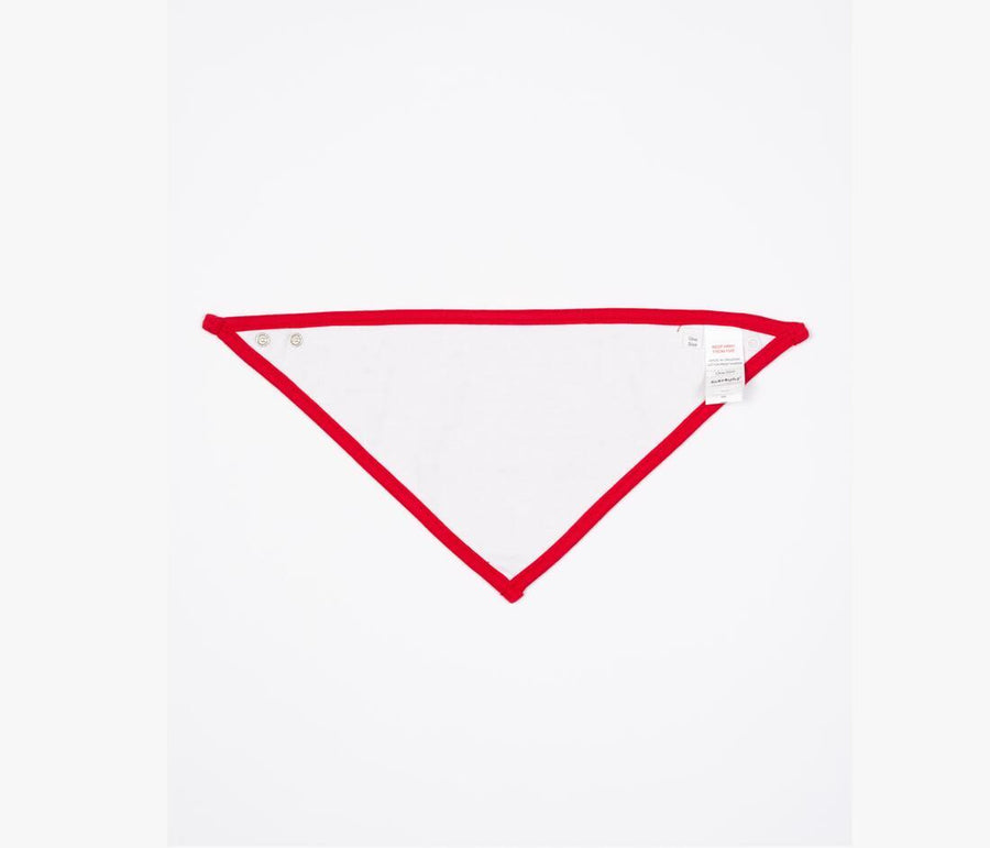 Bandana Bib