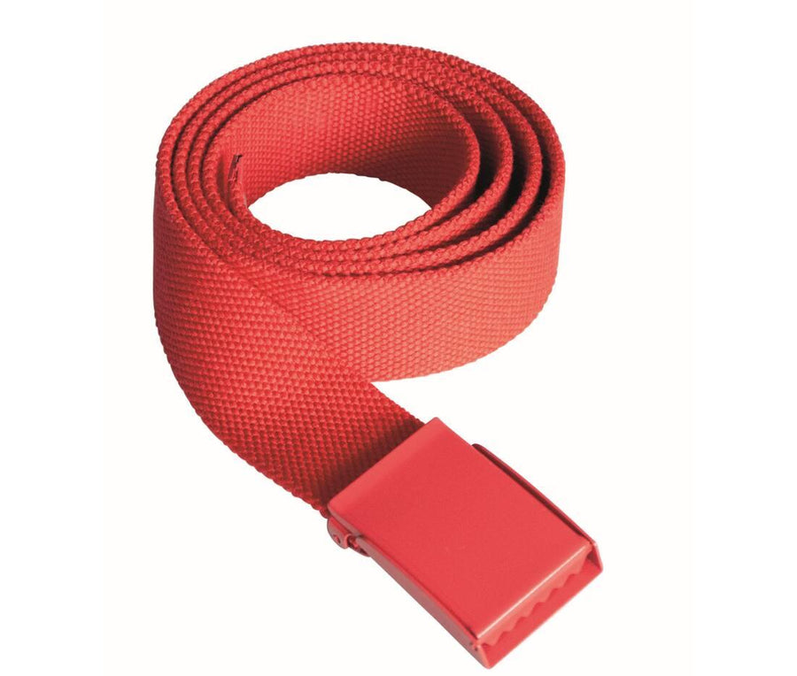 Polyester Belt
