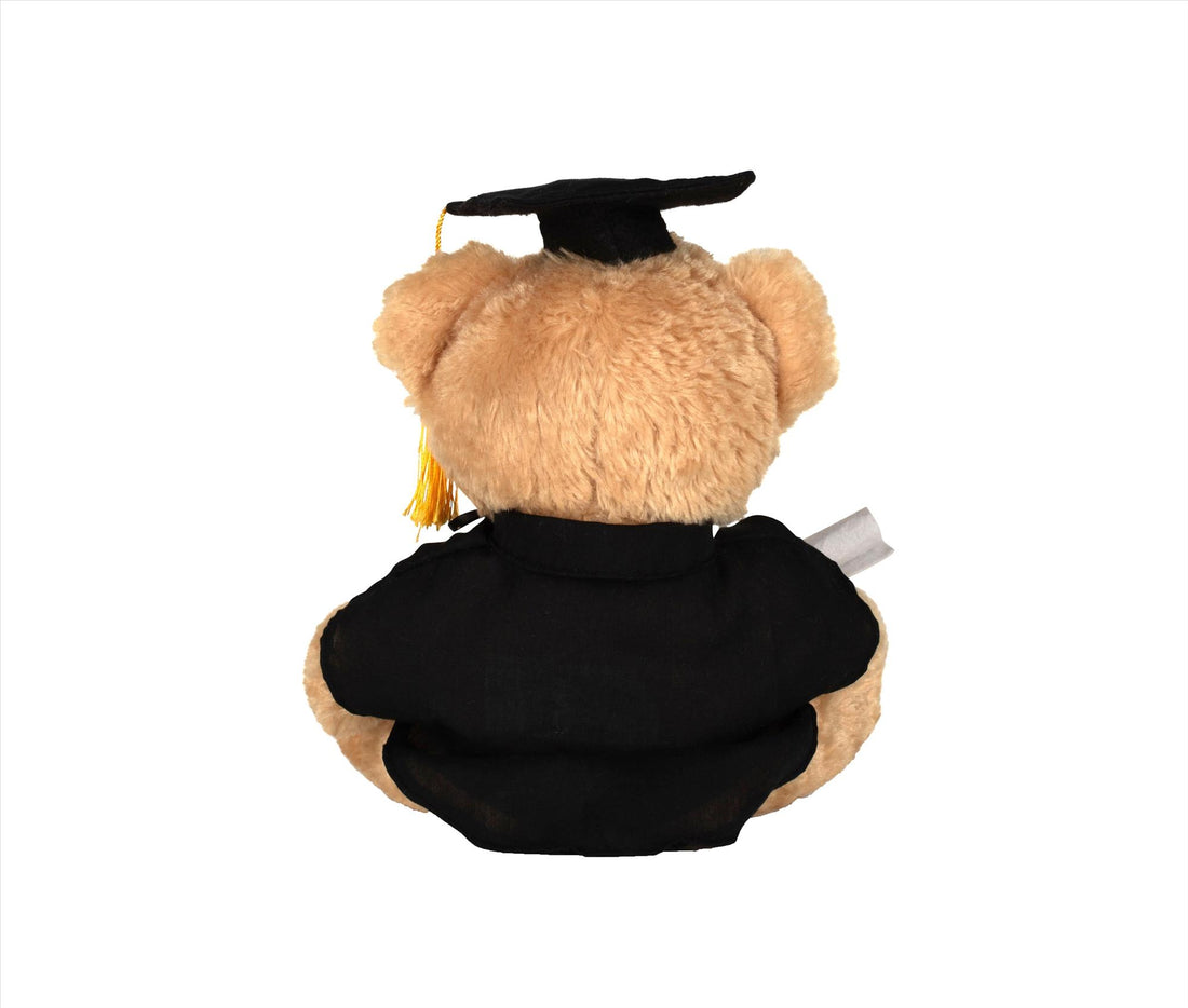 Mumbles Graduation Bear
