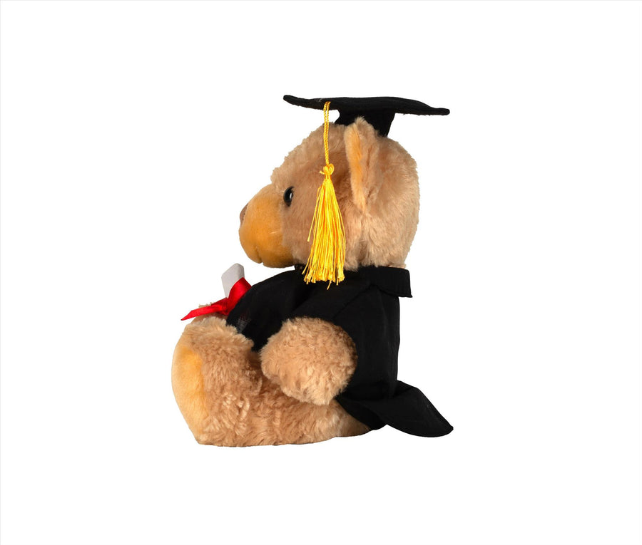 Graduation Bear