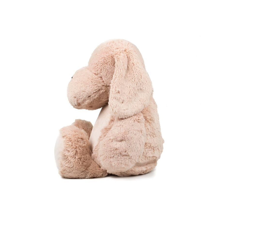 Zippie Dog