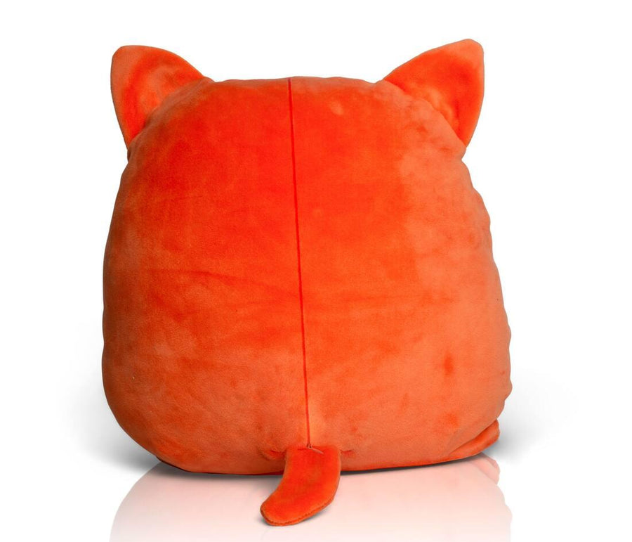 Squidgy Ginger Cat